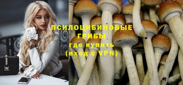 mdpv Ладушкин