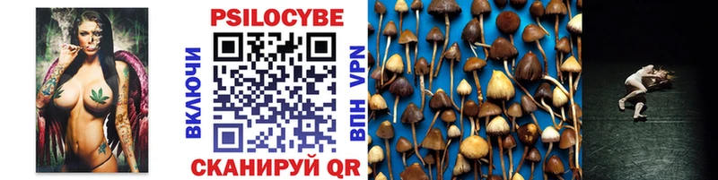 Купить  Обнинск  Псилоцибиновые грибы мицелий 
